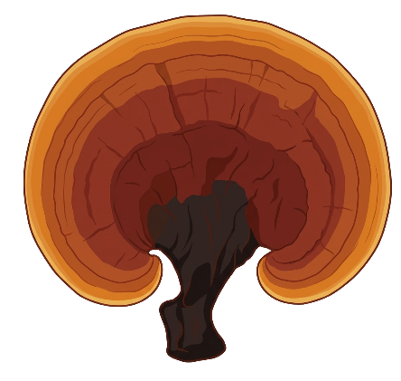 Myco-material Database mushroom logo